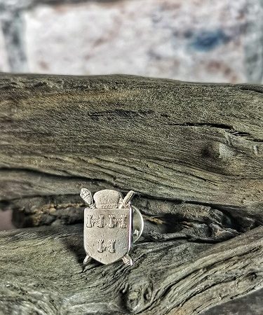 pin displayed on bog oak - millennium 50p coin pin